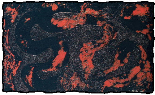 L\'africa dentro, 1996, tecnica mista su tela - 60 x 100 cm.
